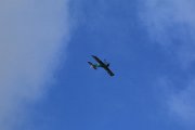 IMG_5487