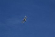 IMG_5554